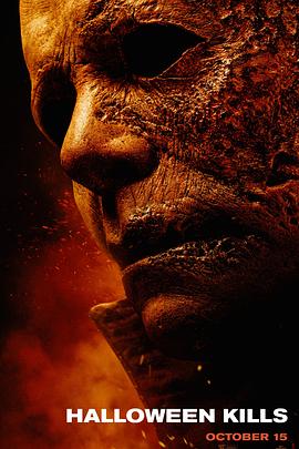 哪个网站优化比较好